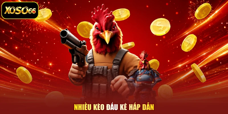 Nhiều kèo đấu kê hấp dẫn