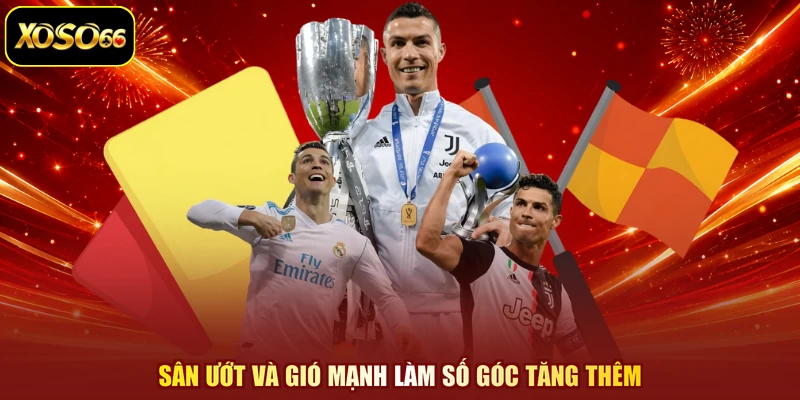 Sân ướt và gió mạnh làm số góc tăng thêm